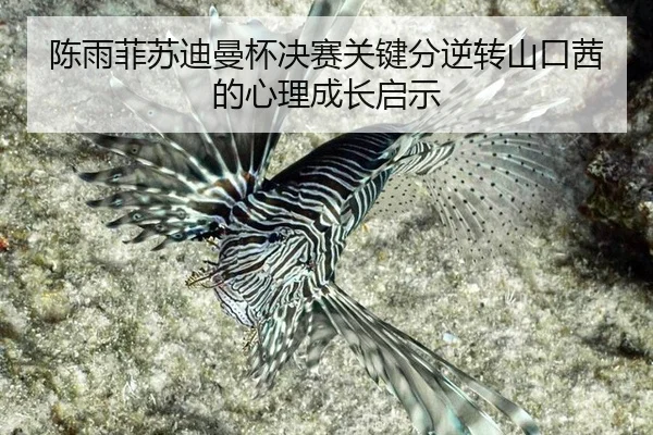 陈雨菲苏迪曼杯决赛关键分逆转山口茜的心理成长启示