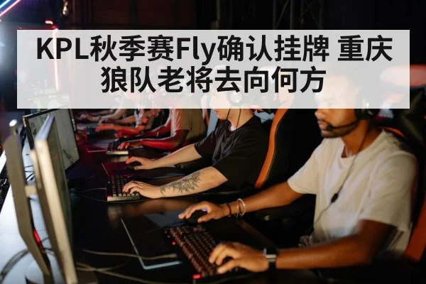 KPL秋季赛Fly确认挂牌 重庆狼队老将去向何方