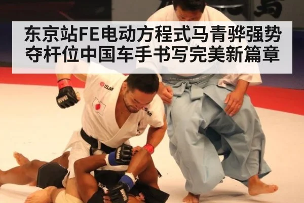 东京站FE电动方程式马青骅强势夺杆位中国车手书写完美新篇章